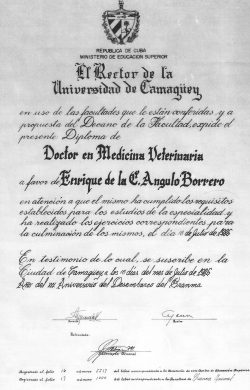 Dr Enrique De La Caridad Angulo Borrero - Doctor of Veterinary Medicine